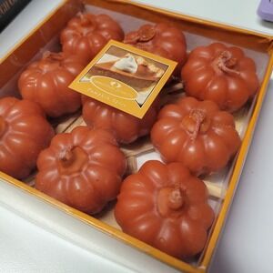 Seasonal Scents Pumpkin Spice Small Pumpkin Candle 9 Pack Orange Fall Decor